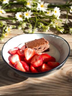 Sahnequarkspeise mit frischen Erdbeeren und selbst gebackenem Schokoladenkuchen