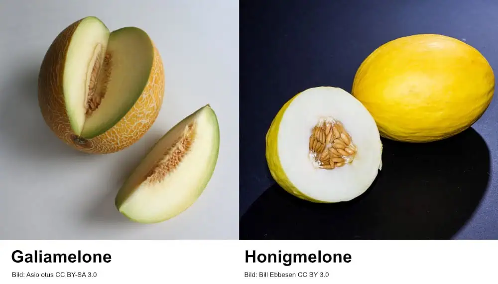 Melonen